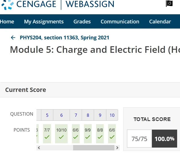 Physics Webassign Charge and Electric Field Homework 100% 2021